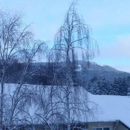 Apartament Falkenstein Braunlage